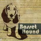 Bassett Hound Sketch Art Print