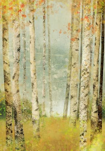 Yellow Birch 1 Art Print