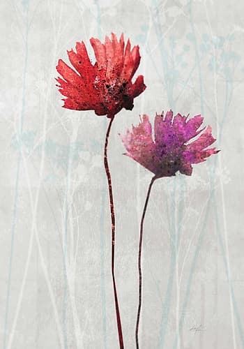 Blush Blooms 1 Art Print