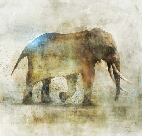 Pachyderm Dance 1-Revised Animaux reproduction