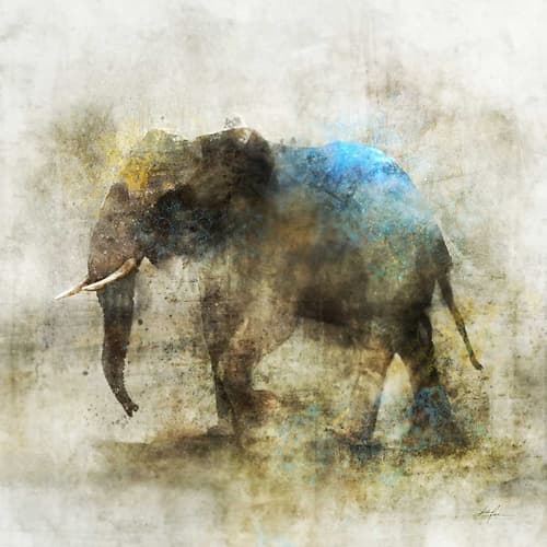 Pachyderm Dance 2 Art Print