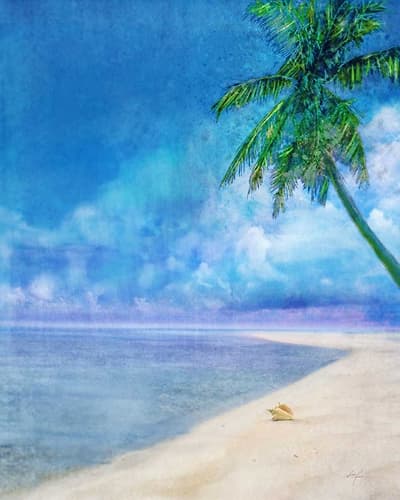 Palm Beach and Shell Toile murale reproduction