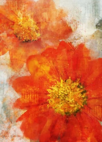 Tithonia Bloom 1 Art Print