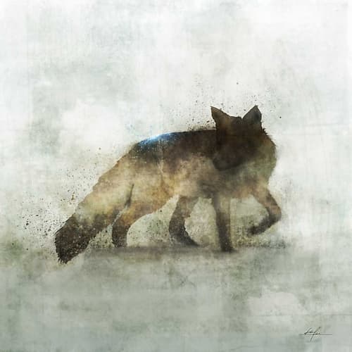 Fabulous Fox Art Print