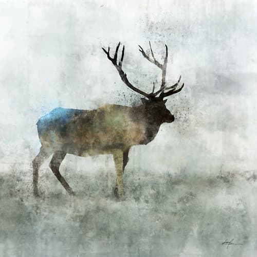 Solo Stag Art Print