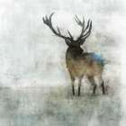 Silent Stag Art Print