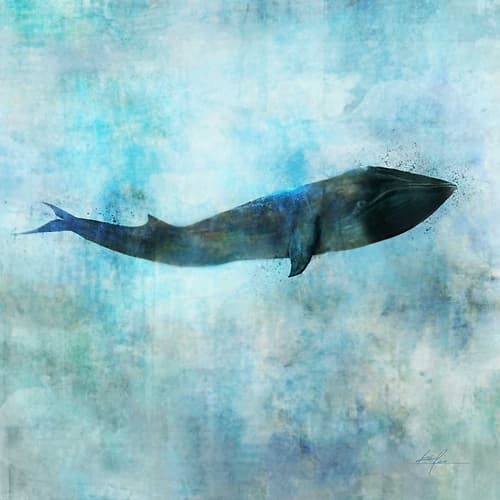 Ocean Whale 1 Animaux reproduction