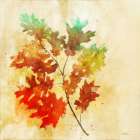 Vibrant Autumn 2 Art Print