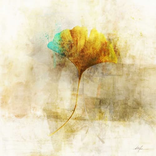 Falling Ginko Leaf Art Print
