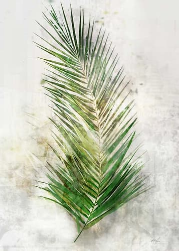 Textured Areca Palm Nature Print