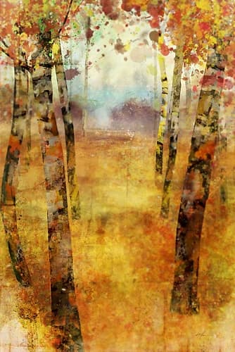 Splashes of Fall Art Print