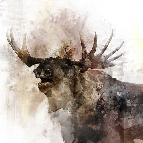 Moose Call Animaux reproduction