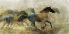 Horses, Wild And Free Art Print