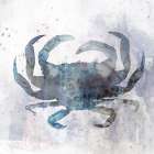 Coastal Mist Crab Art Print