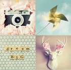Dream Big Art Print