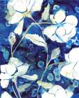Rain Song Flowers in Royal 2 Art Print by Megan Swartz
