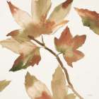 Autumn Song Art Print by Megan Swartz