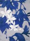 Ghost Orchid 2 Art Print by Ivo Stoyanov