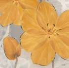 Amber Brights 2 Art Print by Ivo Stoyanov