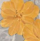 Amber Brights 4 Art Print by Ivo Stoyanov