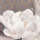 Blissful Bloom 1 Art Print by Ivo Stoyanov