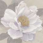 In Full Bloom 1 Art Print by Ivo Stoyanov