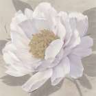 In Full Bloom 2 Art Print by Ivo Stoyanov
