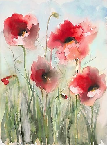 Field Poppies 2 Art Print