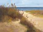 Beach Trail 2 Art Print by Stefano