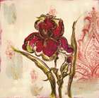 Iris Paisley 2 Art Print