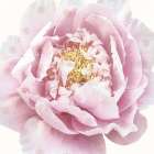 Whisper Floral Art Print