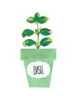 Basil Pot Art Print