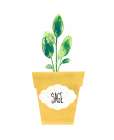 Sage Pot Art Print
