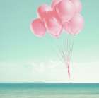Follow The Breeze Art Print