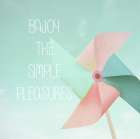 Simple PLeasures Art Print