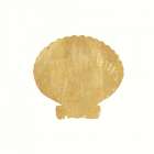 24 Karat Shell Art Print