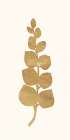 Gold Botanical 4 Botanical Print