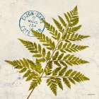 JADE FOREST LEAF 1 Art Print