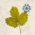 JADE FOREST LEAF 2 Art Print