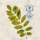 JADE FOREST LEAF 4 Art Print