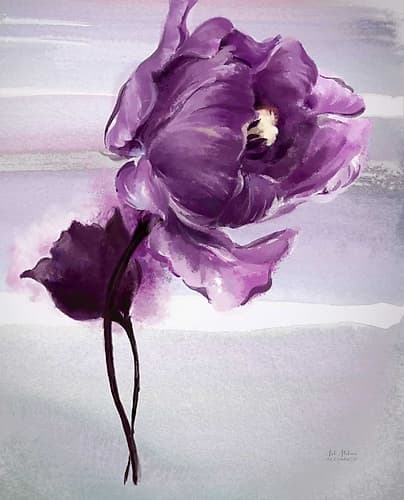 Exquisite Tulip Art Print by Art Atelier Alliance