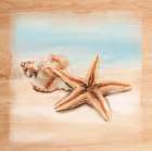 Natural Ocean 2 Art Print