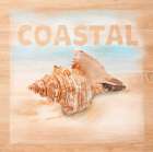Natural Ocean Coastal Art Print