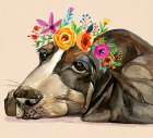 Dog With A Wreath Of Colorful Blossoms 11 Art Print