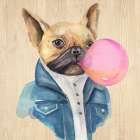 A Blowing Bubble French Bulldog Art Print