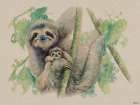 Live Life in the Sloth Lane Art Print