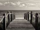 Pathway to Paradise Art Print