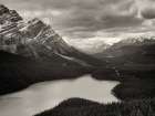 Peyto View Art Print