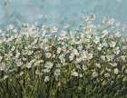 White Cosmos Art Print