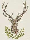 Autumn Stag Art Print